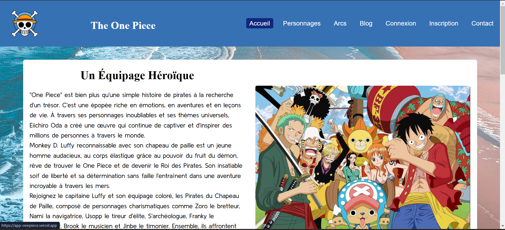 Page d'accueil de l'application 'The One Piece'